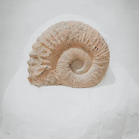 Amonita - Luxurious Space, Private Pool Вилла Тьягуа