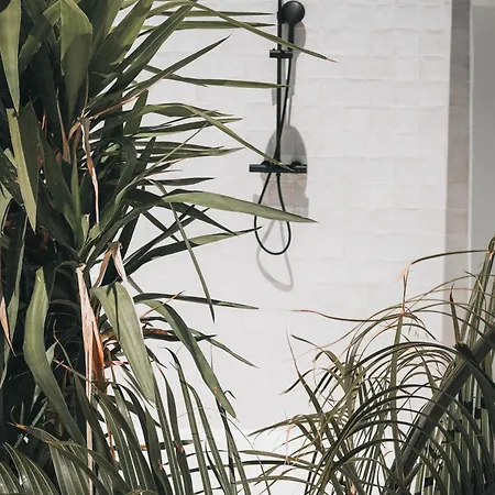 Amonita - Luxurious Space, Private Pool * Тьягуа