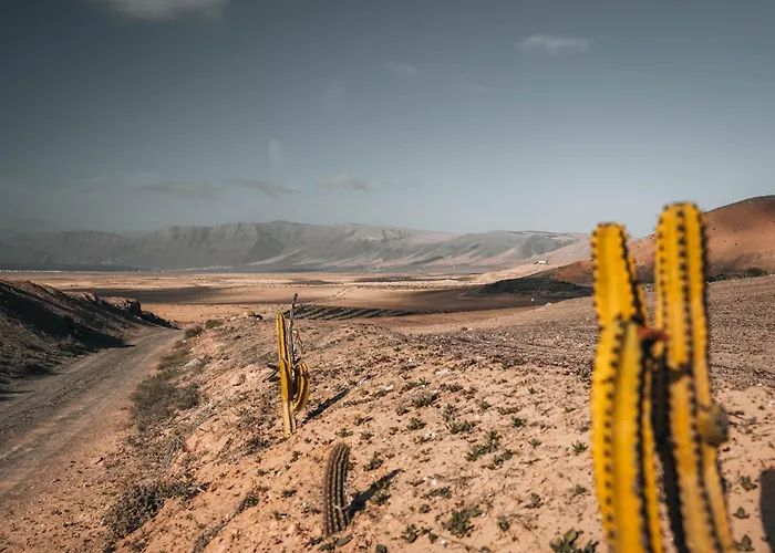 Villa Amonita - Luxurious Space, Private Pool Tiagua